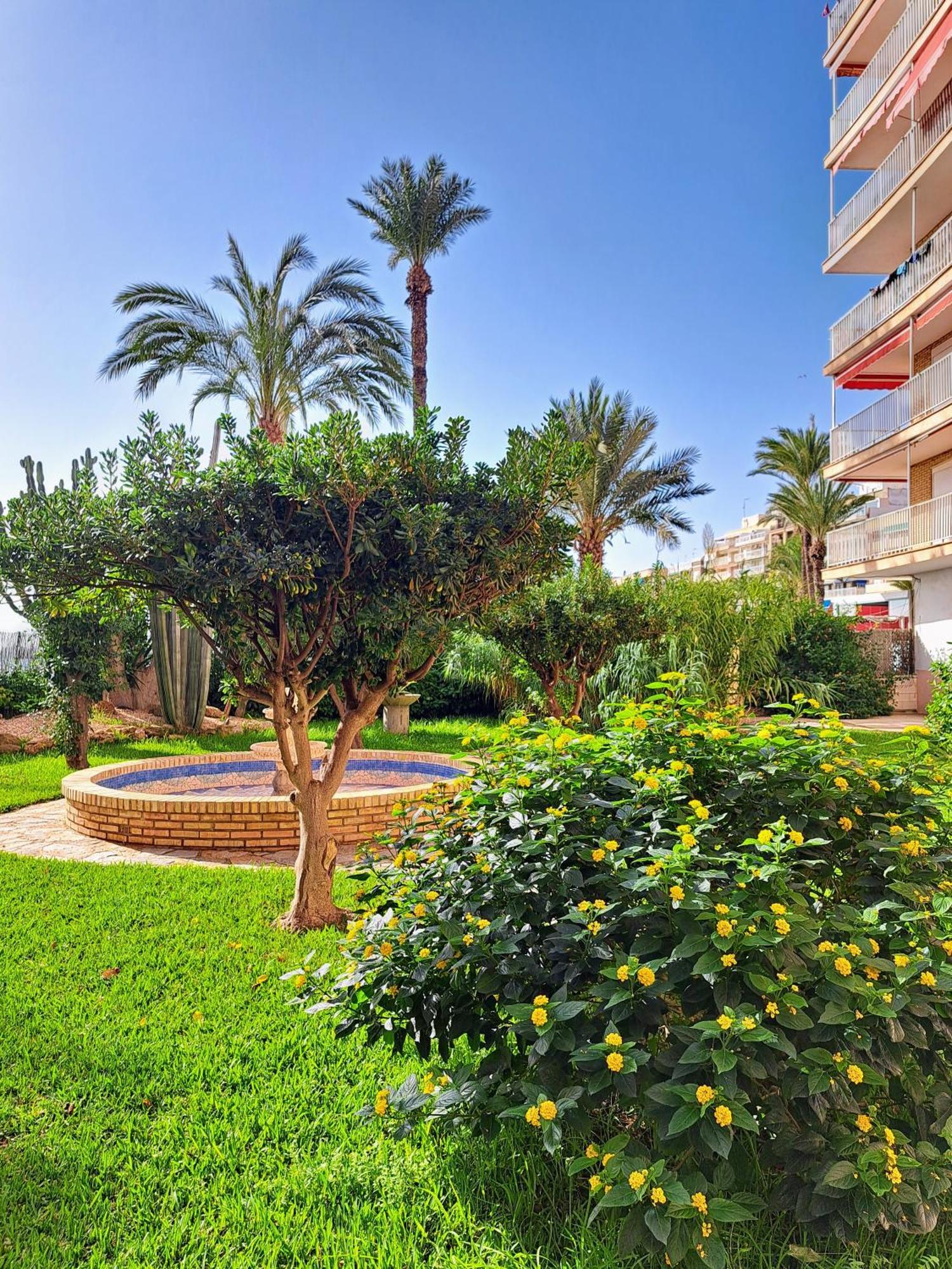 Garden Beach Apartment Torrevieja Esterno foto