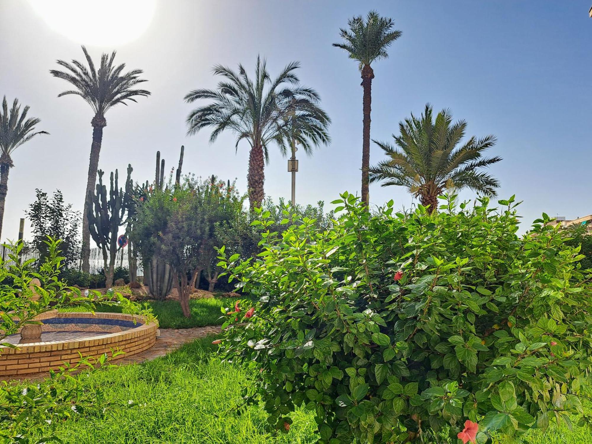 Garden Beach Apartment Torrevieja Esterno foto